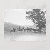 Männer mit Packpferden über einem Hügel Postkarte (Vorderseite)