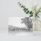 Männer mit Packpferden über einem Hügel Postkarte (Stehend Vorderseite)