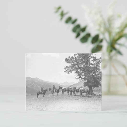Männer mit Packpferden über einem Hügel Postkarte (Stehend Vorderseite)