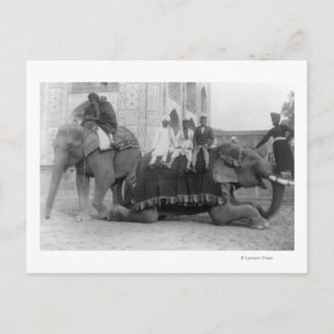 Männer reiten Elefanten in Indien FotografieIndien Postkarte