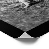 Männer und Cannon auf der Messe Oaks, VA-Campment  Poster (Ecke)