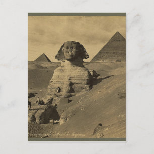 Männer und Kamele auf der Pfote der Sphinx, Pyrami Postkarte