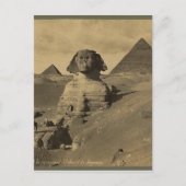 Männer und Kamele auf der Pfote der Sphinx, Pyrami Postkarte (Vorderseite)