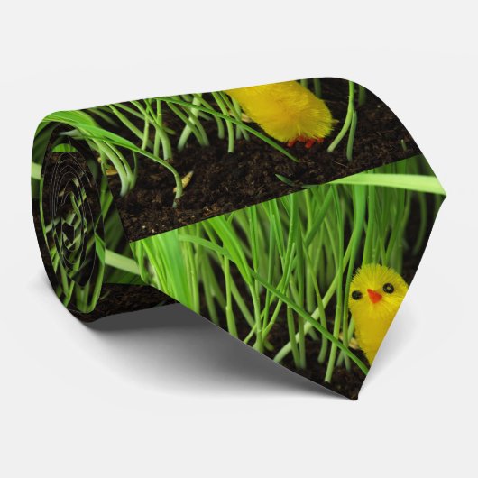 Männerhals-Krawatte Krawatte (Gerollt)