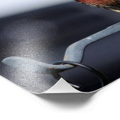 Männerhaus Finch Fotodruck (Ecke)