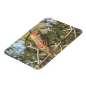 Männerhaus Finch Magnet (Linke Seite)