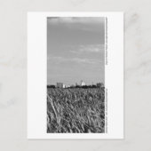 Mannheim - Skyline Postkarte (Vorderseite)