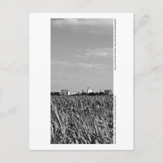 Mannheim - Skyline Postkarte (Vorderseite)