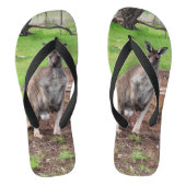 Männlich australisch Kangaroo, Flip Flops Badesandalen (Fußbett)