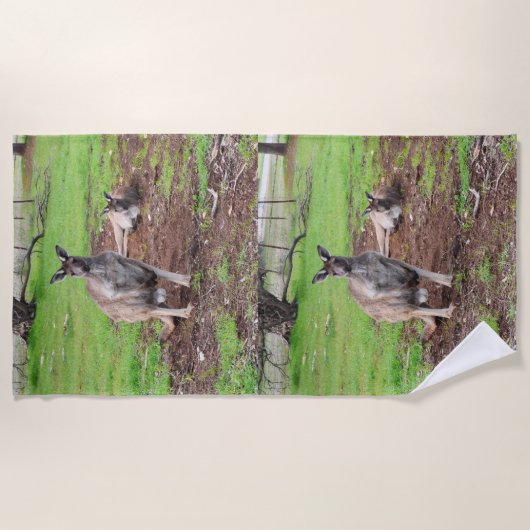 Männlich australisch Kangaroo, Strandtuch (Vorderseite)