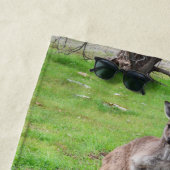 Männlich australisch Kangaroo, Strandtuch (Beispiel)