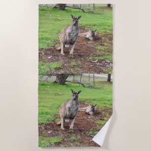 Männlich australisch Kangaroo, Strandtuch