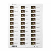 Männlich Broad - schwänzender Kolibri (Vorne)