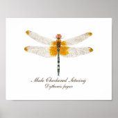 Männlich Checked Setwing Dragonfly Poster (Vorne)