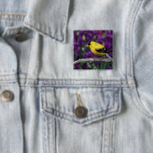 Männlich, Goldfinch im Sommer, Button (Beispiel)