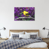 Männlich, Goldfinch im Sommer, Leinwanddruck (Insitu (Schlafzimmer))