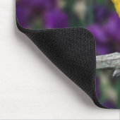 Männlich, Goldfinch im Sommer, Mousepad (Ecke)