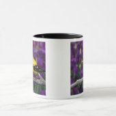 Männlich, Goldfinch im Sommer, Tasse (Zentrum)