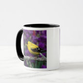 Männlich, Goldfinch im Sommer, Tasse (Vorderseite Links)