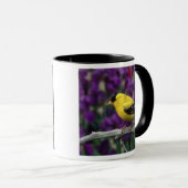 Männlich, Goldfinch im Sommer, Tasse (VorderseiteRechts)