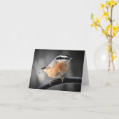 Männlich Rot-Brüste Nakthatch leer innen Karte (Gelbe Blume)