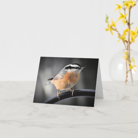 Männlich Rot-Brüste Nakthatch leer innen Karte (Gelbe Blume)