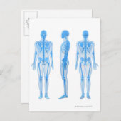 Männlich Skeleton Postkarte (Vorne/Hinten)