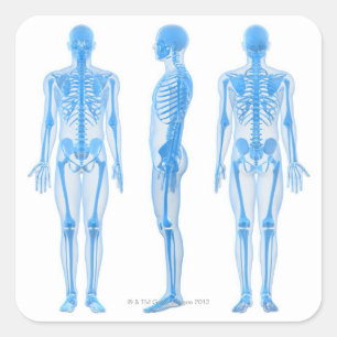 Männlich Skeleton Quadratischer Aufkleber