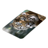 Männlich Sumatran Tiger (Panthera tigris sumatrae) Magnet (Linke Seite)