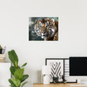 Männlich Sumatran Tiger (Panthera tigris sumatrae) Poster (Heimbüro)