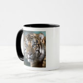 Männlich Sumatran Tiger (Panthera tigris sumatrae) Tasse (Vorderseite Links)