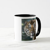 Männlich Sumatran Tiger (Panthera tigris sumatrae) Tasse (VorderseiteRechts)