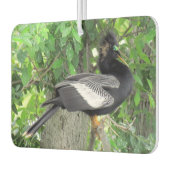 Männlich (vorne) und Weiblich (hinten) Anhinga Autolufterfrischer (Links)