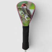 Männliche Anna's Hummingbird auf dem Pflaumenbaum Golf Headcover (Vorderseite)