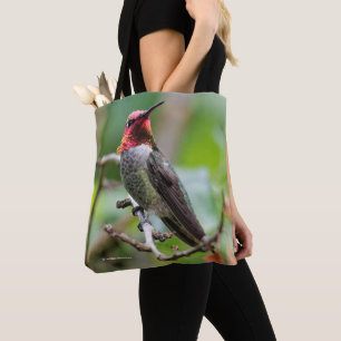 Männliche Anna's Hummingbird auf dem Pflaumenbaum Tasche