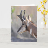 Männliche Antelope - Kunstkarte Karte (Gelbe Blume)