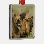 Männliche brüllende Löwen, größerer Kruger Silbernes Ornament (Rechts)