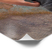 Männliche Brustaufnahme Poster (Ecke)