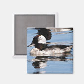 Männliche Büffel Magnet (Vorderseite/Rückseite)