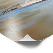 männliche Canvasback-Ente Fotodruck (Ecke)