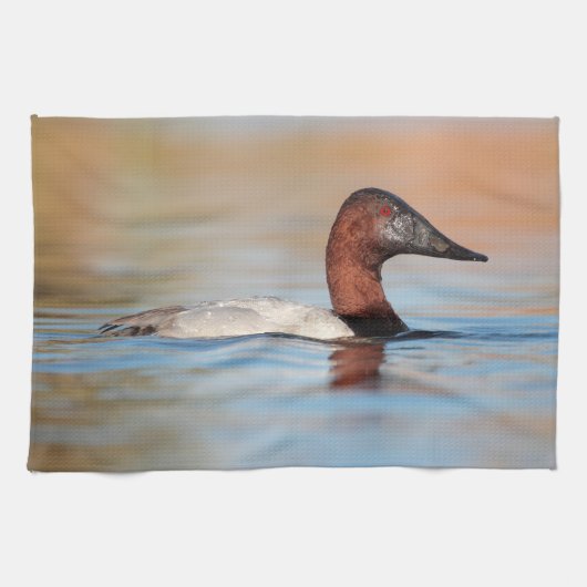 Männliche Canvasback-Ente Geschirrtuch (Horizontal)