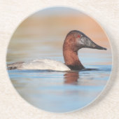 Männliche Canvasback-Ente Getränkeuntersetzer (Vorne)