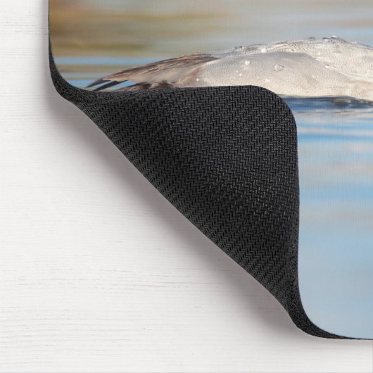 Männliche Canvasback-Ente Mousepad (Ecke)
