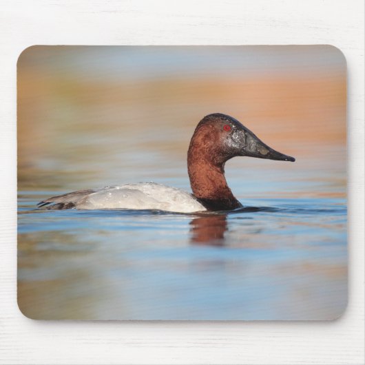 Männliche Canvasback-Ente Mousepad (Vorne)