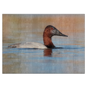 Männliche Canvasback-Ente Schneidebrett