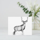männliche Deergie Postkarte (Stehend Vorderseite)