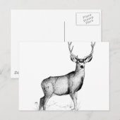 männliche Deergie Postkarte (Vorne/Hinten)