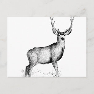 männliche Deergie Postkarte