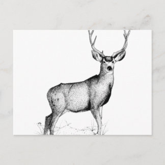männliche Deergie Postkarte