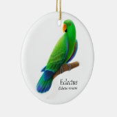Männliche Eclectus Papageien-Verzierung Keramikornament (Rechts)